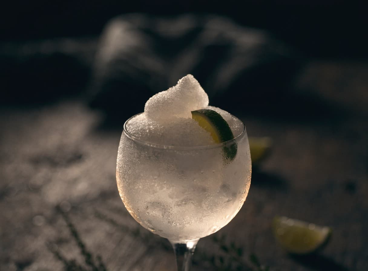 Frozen Gin Tonic
