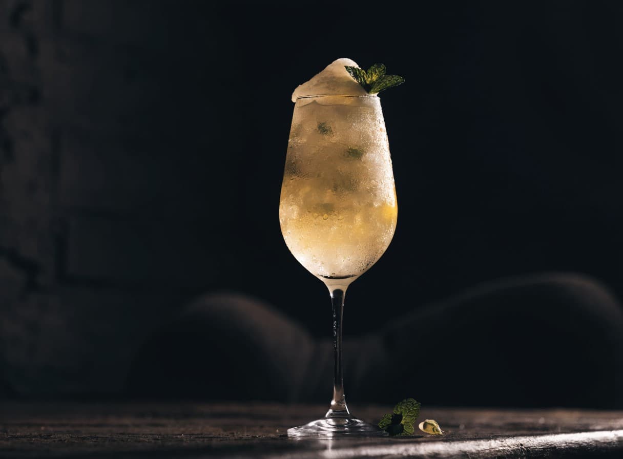 Frozen Wine Spritzer